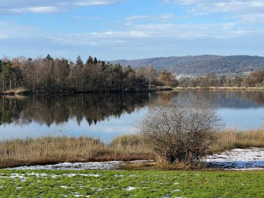 İsviçre Katzensee gölleri (Katzensee gölleri), Regensdorf - Lenzerheide - Zürih Kantonu (Zuerich), İsviçre (Schweiz)