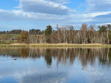 İsviçre Katzensee gölleri (Katzensee gölleri), Regensdorf - Lenzerheide - Zürih Kantonu (Zuerich), İsviçre (Schweiz)