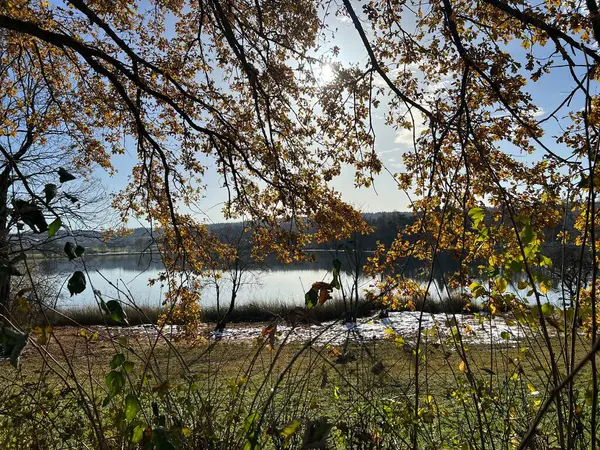 İsviçre Katzensee gölleri (Katzensee gölleri), Regensdorf - Lenzerheide - Zürih Kantonu (Zuerich), İsviçre (Schweiz)