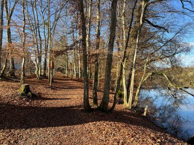 Katzensee Gölü (Katzensee Gölü), Regensdorf - Zürih Kantonu (Zuerich), İsviçre (Schweiz)