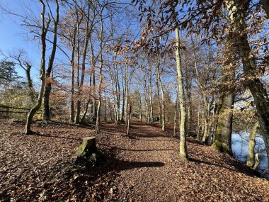 Katzensee Gölü (Katzensee Gölü), Regensdorf - Zürih Kantonu (Zuerich), İsviçre (Schweiz)