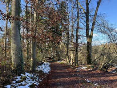 Katzensee Gölü (Katzensee Gölü), Regensdorf - Zürih Kantonu (Zuerich), İsviçre (Schweiz)