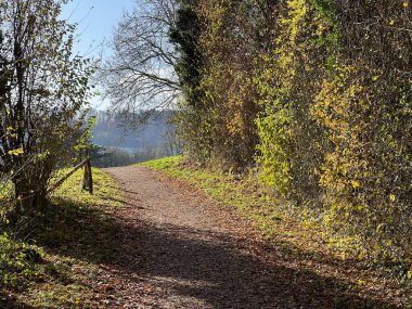 Katzensee Gölü (Katzensee Gölü), Regensdorf - Zürih Kantonu (Zuerich), İsviçre (Schweiz)