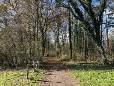 Katzensee Gölü (Katzensee Gölü), Regensdorf - Zürih Kantonu (Zuerich), İsviçre (Schweiz)