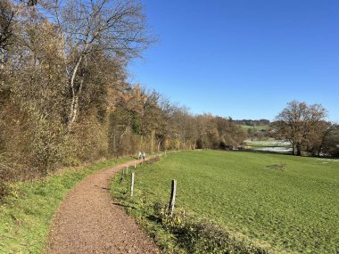Katzensee Gölü (Katzensee Gölü), Regensdorf - Zürih Kantonu (Zuerich), İsviçre (Schweiz)