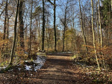 Katzensee Gölü (Katzensee Gölü), Regensdorf - Zürih Kantonu (Zuerich), İsviçre (Schweiz)