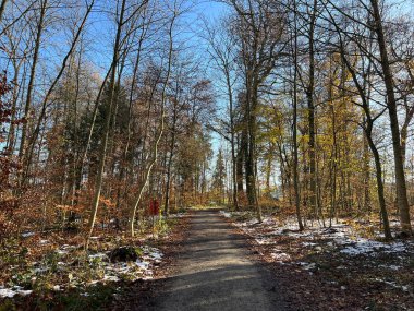 Katzensee Gölü (Katzensee Gölü), Regensdorf - Zürih Kantonu (Zuerich), İsviçre (Schweiz)