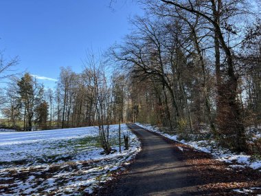 Katzensee Gölü (Katzensee Gölü), Regensdorf - Zürih Kantonu (Zuerich), İsviçre (Schweiz)