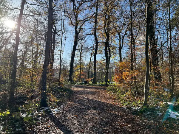 Katzensee Gölü (Katzensee Gölü), Regensdorf - Zürih Kantonu (Zuerich), İsviçre (Schweiz)