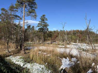 İsviçre Katzensee gölleri veya Katzensee gölleri (Katzen gölleri), Regensdorf - Zürih Kantonu (Zuerich), İsviçre (Schweiz)
