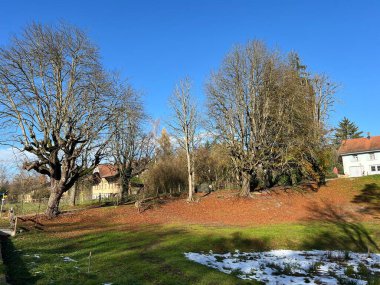 İsviçre Katzensee gölleri veya Katzensee gölleri (Katzen gölleri), Regensdorf - Zürih Kantonu (Zuerich), İsviçre (Schweiz)
