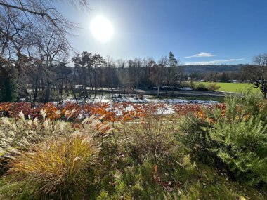 İsviçre Katzensee gölleri veya Katzensee gölleri (Katzen gölleri), Regensdorf - Zürih Kantonu (Zuerich), İsviçre (Schweiz)