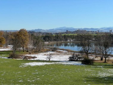 İsviçre Katzensee gölleri veya Katzensee gölleri (Katzen gölleri), Regensdorf - Zürih Kantonu (Zuerich), İsviçre (Schweiz)