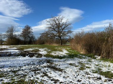 İsviçre Katzensee gölleri veya Katzensee gölleri (Katzen gölleri), Regensdorf - Zürih Kantonu (Zuerich), İsviçre (Schweiz)