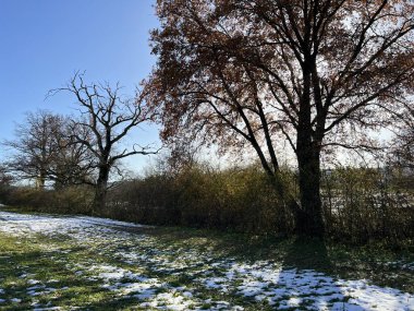 İsviçre Katzensee gölleri veya Katzensee gölleri (Katzen gölleri), Regensdorf - Zürih Kantonu (Zuerich), İsviçre (Schweiz)