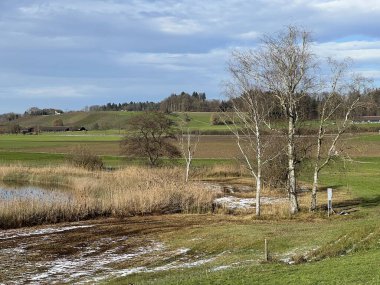 İsviçre Katzensee gölleri veya Katzensee gölleri (Katzen gölleri), Regensdorf - Zürih Kantonu (Zuerich), İsviçre (Schweiz)