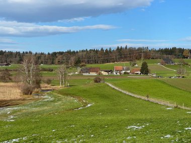 İsviçre Katzensee gölleri veya Katzensee gölleri (Katzen gölleri), Regensdorf - Zürih Kantonu (Zuerich), İsviçre (Schweiz)