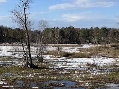 İsviçre Katzensee gölleri veya Katzensee gölleri (Katzen gölleri), Regensdorf - Zürih Kantonu (Zuerich), İsviçre (Schweiz)