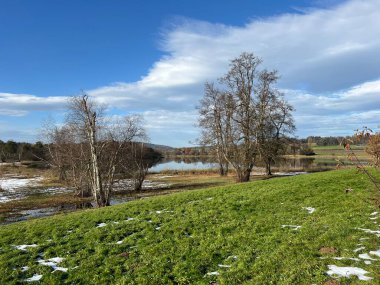 İsviçre Katzensee gölleri veya Katzensee gölleri (Katzen gölleri), Regensdorf - Zürih Kantonu (Zuerich), İsviçre (Schweiz)