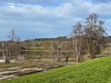 İsviçre Katzensee gölleri veya Katzensee gölleri (Katzen gölleri), Regensdorf - Zürih Kantonu (Zuerich), İsviçre (Schweiz)