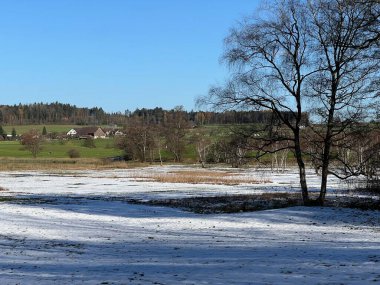 İsviçre Katzensee gölleri veya Katzensee gölleri (Katzen gölleri), Regensdorf - Zürih Kantonu (Zuerich), İsviçre (Schweiz)