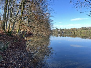 İsviçre Katzensee gölleri (Katzensee gölleri), Regensdorf - Zürih Kantonu (Zuerich), İsviçre (Schweiz)