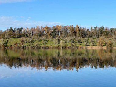 İsviçre Katzensee gölleri (Katzensee gölleri), Regensdorf - Zürih Kantonu (Zuerich), İsviçre (Schweiz)