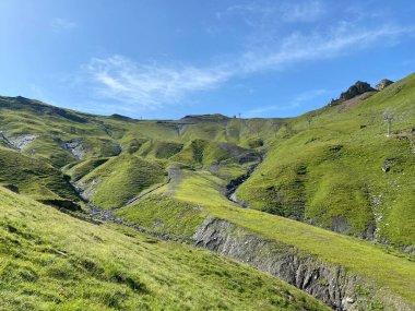 Uri Alp dağlarının yamaçlarındaki çayırlarda ve çayırlarda, Melchtal - Obwalden Kantonu, İsviçre (Kanton Obwald, Schweiz)