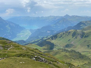 Uri Alp dağlarının yamaçlarındaki çayırlarda ve çayırlarda, Melchtal - Obwalden Kantonu, İsviçre (Kanton Obwald, Schweiz)