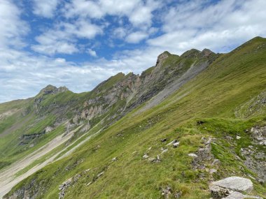 Uri Alp dağlarının yamaçlarındaki çayırlarda ve çayırlarda, Melchtal - Obwalden Kantonu, İsviçre (Kanton Obwald, Schweiz)