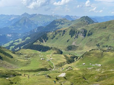 Uri Alp dağlarının yamaçlarındaki çayırlarda ve çayırlarda, Melchtal - Obwalden Kantonu, İsviçre (Kanton Obwald, Schweiz)
