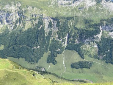 Uri Alp dağlarının yamaçlarındaki çayırlarda ve çayırlarda, Melchtal - Obwalden Kantonu, İsviçre (Kanton Obwald, Schweiz)