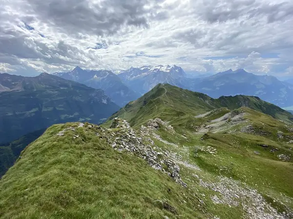 Uri Alp dağlarının yamaçlarındaki çayırlarda ve çayırlarda, Melchtal - Obwalden Kantonu, İsviçre (Kanton Obwald, Schweiz)