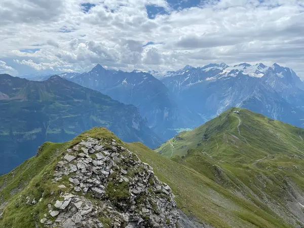 Uri Alplerdeki Melchsee Gölü veya Melch Gölü 'nün tepelerinden Urner Alpen manzarası, Kerns - Obwald Kantonu, İsviçre (Kanton Obwalden, Schweiz)