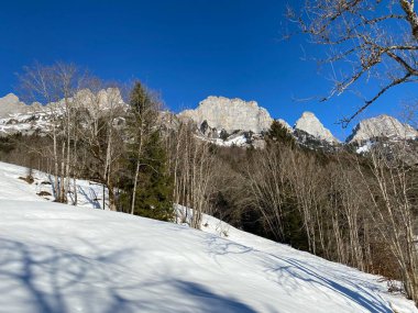 Walensee Gölü ve İsviçre 'nin Walenstadtberg kasabası (Die Steilen Felsgipfel der Churfirst stengruppe des Walensee, Schweiz) üzerindeki Churfirsten dağ sırasının dik kayalıkları.)