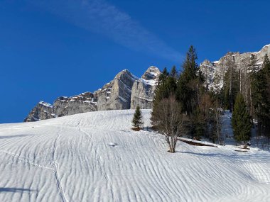 Walensee Gölü ve İsviçre 'nin Walenstadtberg kasabası (Die Steilen Felsgipfel der Churfirst stengruppe des Walensee, Schweiz) üzerindeki Churfirsten dağ sırasının dik kayalıkları.)