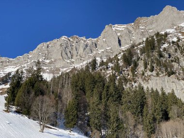 Walensee Gölü ve İsviçre 'nin Walenstadtberg kasabası (Die Steilen Felsgipfel der Churfirst stengruppe des Walensee, Schweiz) üzerindeki Churfirsten dağ sırasının dik kayalıkları.)