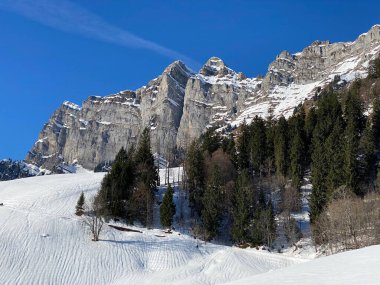 Walensee Gölü ve İsviçre 'nin Walenstadtberg kasabası (Die Steilen Felsgipfel der Churfirst stengruppe des Walensee, Schweiz) üzerindeki Churfirsten dağ sırasının dik kayalıkları.)