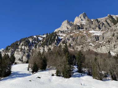 Walensee Gölü ve İsviçre 'nin Walenstadtberg kasabası (Die Steilen Felsgipfel der Churfirst stengruppe des Walensee, Schweiz) üzerindeki Churfirsten dağ sırasının dik kayalıkları.)