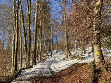 Walen Gölü veya Walenstadt Gölü (Walensee) üzerinde ve İsviçre Alpleri 'nin taze dağlık kar örtüsünde Walenstadtberg - İsviçre' nin St. Gallen Kantonu (Schweiz)