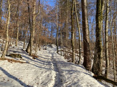 Walen Gölü veya Walenstadt Gölü (Walensee) üzerinde ve İsviçre Alpleri 'nin taze dağlık kar örtüsünde Walenstadtberg - İsviçre' nin St. Gallen Kantonu (Schweiz)