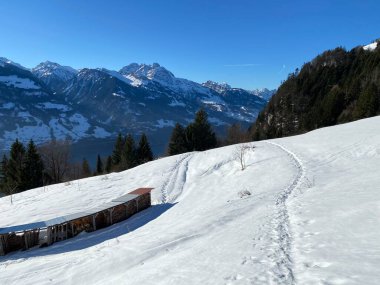 Walen Gölü veya Walenstadt Gölü (Walensee) üzerinde ve İsviçre Alpleri 'nin taze dağlık kar örtüsünde Walenstadtberg - İsviçre' nin St. Gallen Kantonu (Schweiz)
