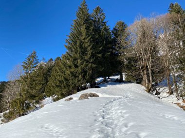 Walen Gölü veya Walenstadt Gölü (Walensee) üzerinde ve İsviçre Alpleri 'nin taze dağlık kar örtüsünde Walenstadtberg - İsviçre' nin St. Gallen Kantonu (Schweiz)