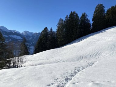 Walen Gölü veya Walenstadt Gölü (Walensee) üzerinde ve İsviçre Alpleri 'nin taze dağlık kar örtüsünde Walenstadtberg - İsviçre' nin St. Gallen Kantonu (Schweiz)