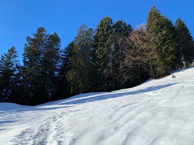 Walen Gölü veya Walenstadt Gölü (Walensee) üzerinde ve İsviçre Alpleri 'nin taze dağlık kar örtüsünde Walenstadtberg - İsviçre' nin St. Gallen Kantonu (Schweiz)
