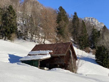 Eski İsviçre kırsal mimarisi ve alp çiftlik çiftlikleri Walen Gölü veya Walenstadt Gölü (Walensee) ve İsviçre Alpleri, Walenstadtberg - İsviçre (Schweiz)