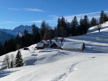 Eski İsviçre kırsal mimarisi ve alp çiftlik çiftlikleri Walen Gölü veya Walenstadt Gölü (Walensee) ve İsviçre Alpleri, Walenstadtberg - İsviçre (Schweiz)