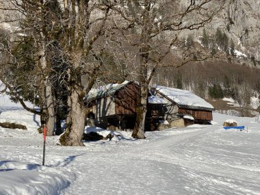 Eski İsviçre kırsal mimarisi ve alp çiftlik çiftlikleri Walen Gölü veya Walenstadt Gölü (Walensee) ve İsviçre Alpleri, Walenstadtberg - İsviçre (Schweiz)