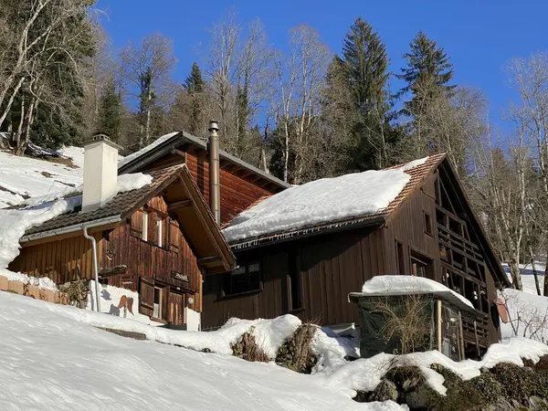 Eski İsviçre kırsal mimarisi ve alp çiftlik çiftlikleri Walen Gölü veya Walenstadt Gölü (Walensee) ve İsviçre Alpleri, Walenstadtberg - İsviçre (Schweiz)