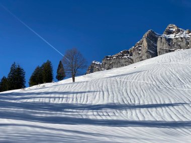 Walenstadt Gölü (Walensee), Walenstadtberg - İsviçre 'nin St. Gallen Kantonu (Schweiz)
